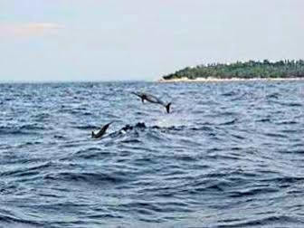 พามิลาแคนไอซ์แลนด์ทัวริสอินน์แอนด์เรสเตอร็อง Bohol ภายนอก รูปภาพ